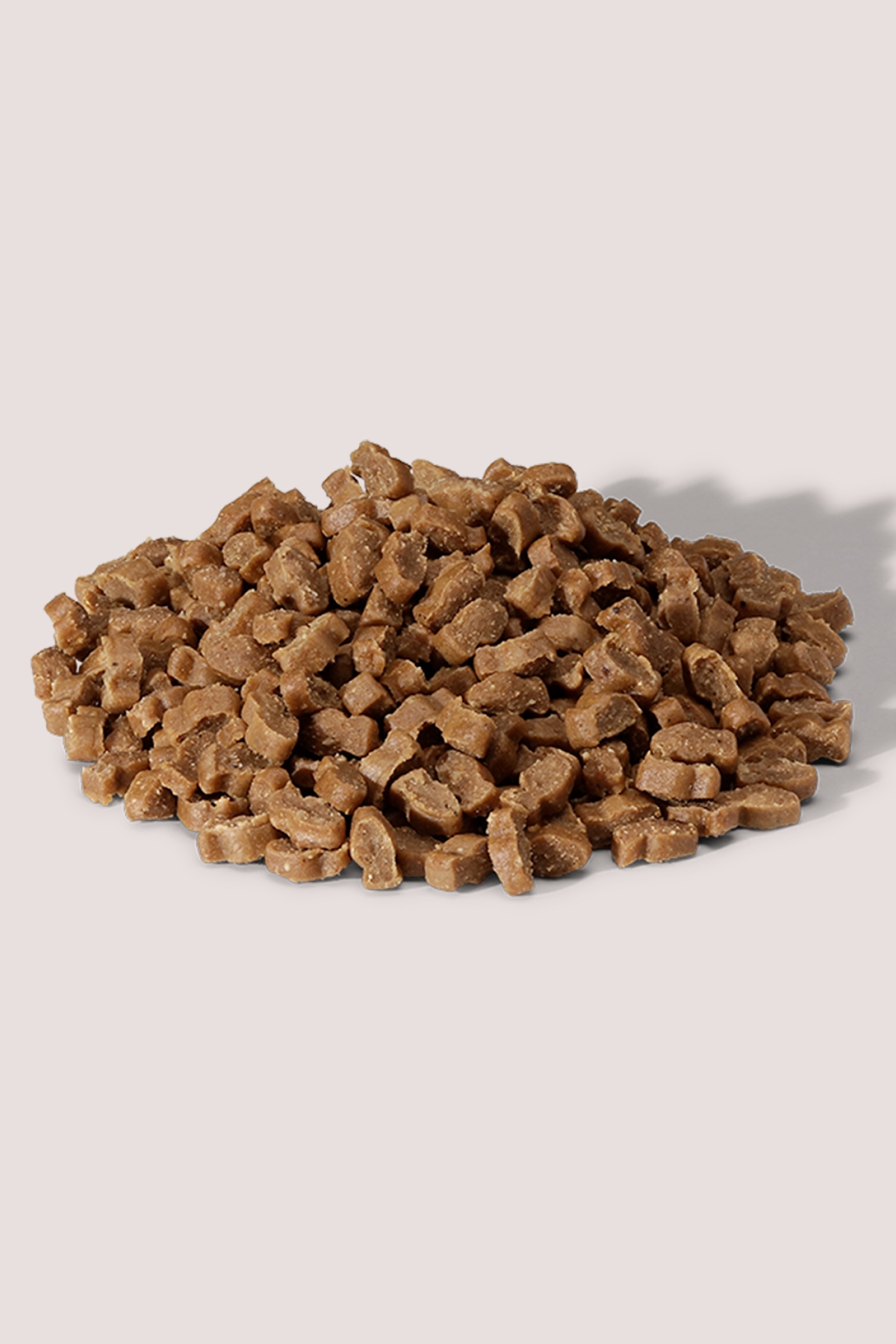 EVERYDAY MINI TRAINING BITES SALMON 500G EVERYDAY MINI TRAINING BITES SALMON 500G